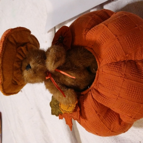 Rare Boyds Bear collection pop up surprise pumpkin - Picture 3 of 5
